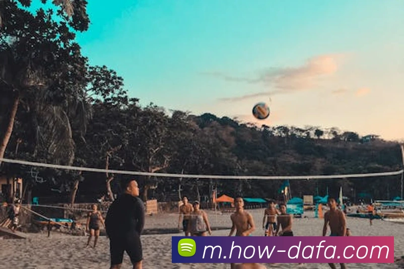 大发彩票平台生态图